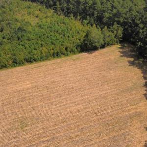 Photo #15 of SOLD property in Off Norton Road, Green Sea, SC 22.4 acres