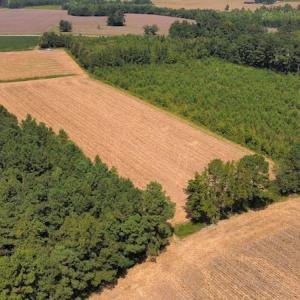 Photo #16 of SOLD property in Off Norton Road, Green Sea, SC 22.4 acres