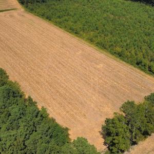 Photo #17 of SOLD property in Off Norton Road, Green Sea, SC 22.4 acres
