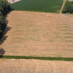 Photo #18 of SOLD property in Off Norton Road, Green Sea, SC 22.4 acres