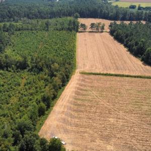 Photo #19 of SOLD property in Off Norton Road, Green Sea, SC 22.4 acres