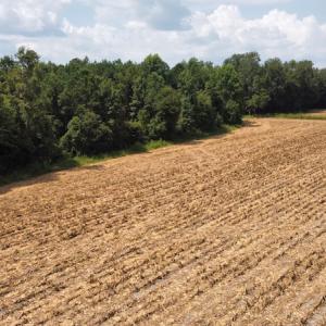 Photo #20 of SOLD property in Off Norton Road, Green Sea, SC 22.4 acres