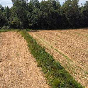 Photo #22 of SOLD property in Off Norton Road, Green Sea, SC 22.4 acres