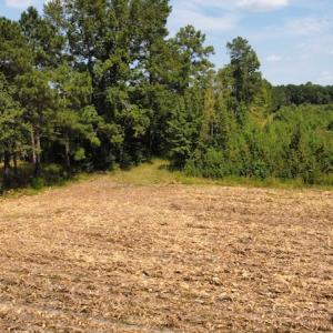 Photo #23 of SOLD property in Off Norton Road, Green Sea, SC 22.4 acres