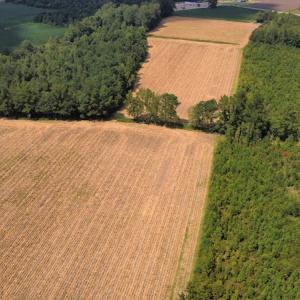 Photo #24 of SOLD property in Off Norton Road, Green Sea, SC 22.4 acres