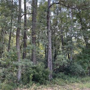 Photo #27 of SOLD property in Off Norton Road, Green Sea, SC 22.4 acres
