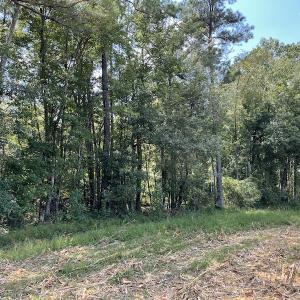 Photo #28 of SOLD property in Off Norton Road, Green Sea, SC 22.4 acres