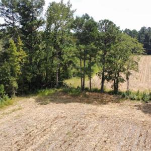 Photo #29 of SOLD property in Off Norton Road, Green Sea, SC 22.4 acres
