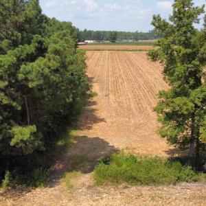 Photo #30 of SOLD property in Off Norton Road, Green Sea, SC 22.4 acres