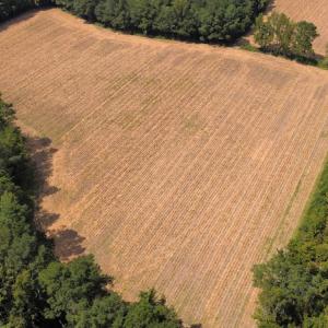 Photo #31 of SOLD property in Off Norton Road, Green Sea, SC 22.4 acres