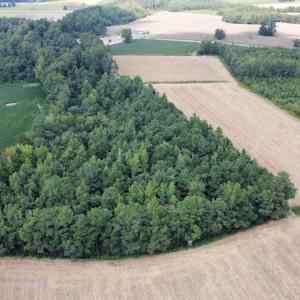 Photo #32 of SOLD property in Off Norton Road, Green Sea, SC 22.4 acres