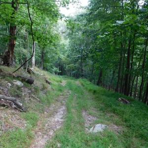 Photo #2 of Off Old Briddle Creek Road, Independence, VA 28.6 acres