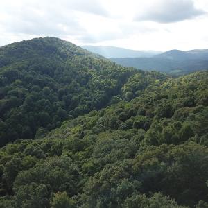 Photo #12 of Off Old Briddle Creek Road, Independence, VA 28.6 acres