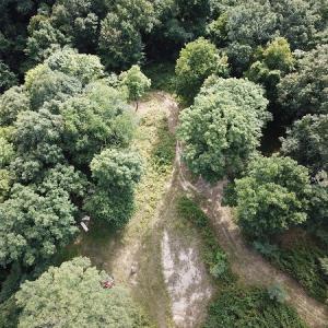 Photo #14 of Off Old Briddle Creek Road, Independence, VA 28.6 acres