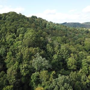 Photo #15 of Off Old Briddle Creek Road, Independence, VA 28.6 acres