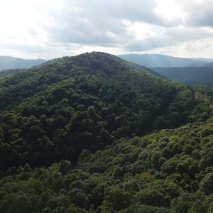 Photo #16 of Off Old Briddle Creek Road, Independence, VA 28.6 acres