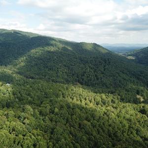 Photo #18 of Off Old Briddle Creek Road, Independence, VA 28.6 acres