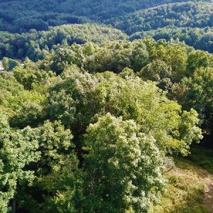 Photo #19 of Off Old Briddle Creek Road, Independence, VA 28.6 acres