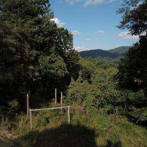 Photo #21 of Off Old Briddle Creek Road, Independence, VA 28.6 acres