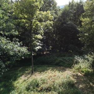 Photo #22 of Off Old Briddle Creek Road, Independence, VA 28.6 acres