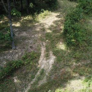 Photo #24 of Off Old Briddle Creek Road, Independence, VA 28.6 acres