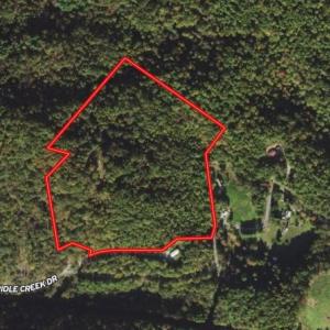 Photo #1 of Off Old Briddle Creek Road, Independence, VA 28.6 acres