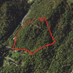 Photo #29 of Off Old Briddle Creek Road, Independence, VA 28.6 acres