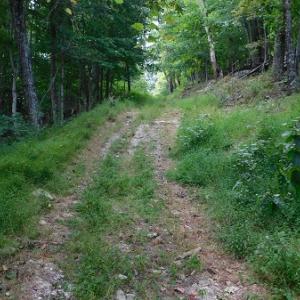 Photo #5 of Off Old Briddle Creek Road, Independence, VA 28.6 acres