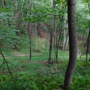Photo #6 of Off Old Briddle Creek Road, Independence, VA 28.6 acres