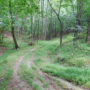Photo #7 of Off Old Briddle Creek Road, Independence, VA 28.6 acres