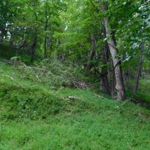 Photo #8 of Off Old Briddle Creek Road, Independence, VA 28.6 acres