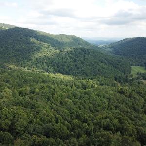 Photo #10 of Off Old Briddle Creek Road, Independence, VA 28.6 acres