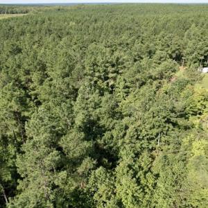 Photo #23 of SOLD property in Off Oral Oaks Road, Victoria, VA 21.2 acres