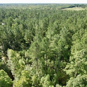 Photo #24 of SOLD property in Off Oral Oaks Road, Victoria, VA 21.2 acres