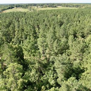 Photo #25 of SOLD property in Off Oral Oaks Road, Victoria, VA 21.2 acres