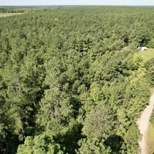 Photo #26 of SOLD property in Off Oral Oaks Road, Victoria, VA 21.2 acres