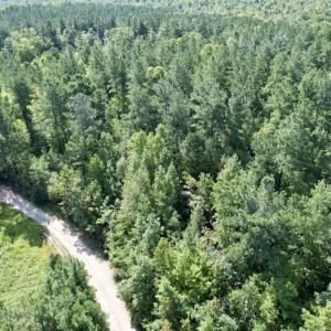 Photo #27 of SOLD property in Off Oral Oaks Road, Victoria, VA 21.2 acres