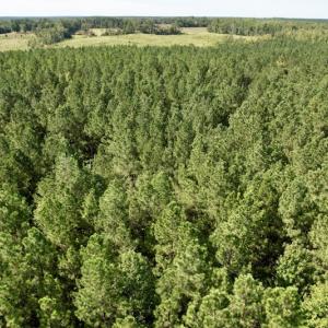 Photo #28 of SOLD property in Off Oral Oaks Road, Victoria, VA 21.2 acres
