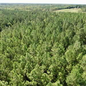 Photo #29 of SOLD property in Off Oral Oaks Road, Victoria, VA 21.2 acres