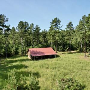 Photo #3 of SOLD property in Off Oral Oaks Road, Victoria, VA 21.2 acres