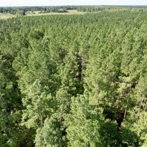 Photo #30 of SOLD property in Off Oral Oaks Road, Victoria, VA 21.2 acres