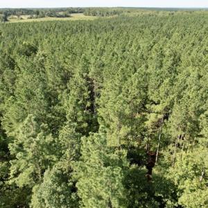Photo #32 of SOLD property in Off Oral Oaks Road, Victoria, VA 21.2 acres