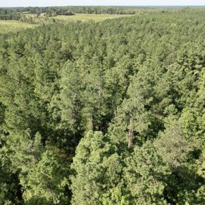 Photo #33 of SOLD property in Off Oral Oaks Road, Victoria, VA 21.2 acres