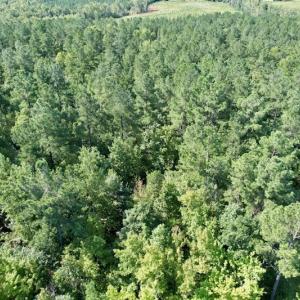 Photo #35 of SOLD property in Off Oral Oaks Road, Victoria, VA 21.2 acres