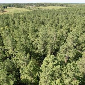 Photo #36 of SOLD property in Off Oral Oaks Road, Victoria, VA 21.2 acres