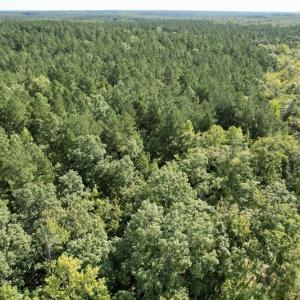 Photo #38 of SOLD property in Off Oral Oaks Road, Victoria, VA 21.2 acres