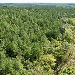 Photo #39 of SOLD property in Off Oral Oaks Road, Victoria, VA 21.2 acres