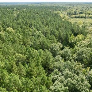 Photo #40 of SOLD property in Off Oral Oaks Road, Victoria, VA 21.2 acres