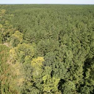 Photo #41 of SOLD property in Off Oral Oaks Road, Victoria, VA 21.2 acres