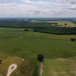 Photo #2 of SOLD property in Off Joe Gardner Road  , Grifton, NC 52.6 acres